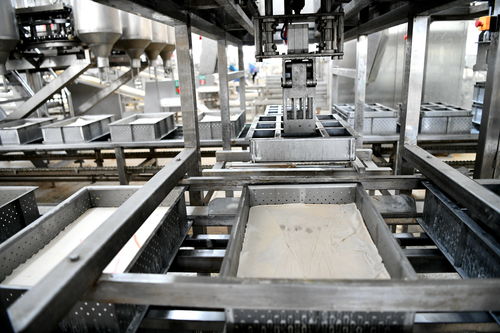 青铜峡 科技现代化助推豆腐产业高质量发展